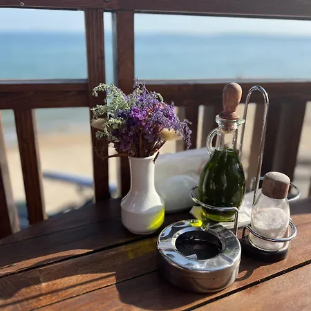 アパート Garden Of Eden - スヴェティ・ヴラス