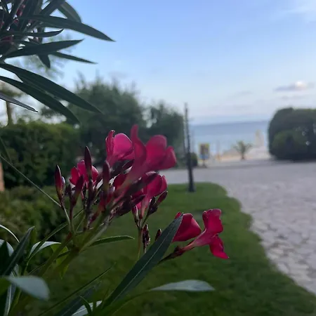 Garden Of Eden - *