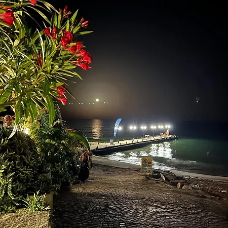 Garden Of Eden - アパート